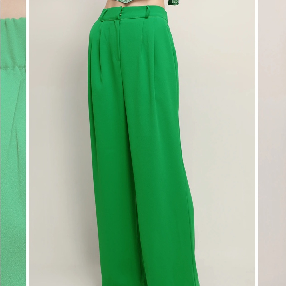 NWOT Wide pants